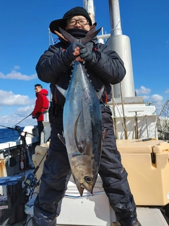 ビンナガの釣果