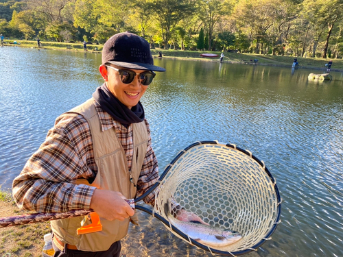 ニジマスの釣果