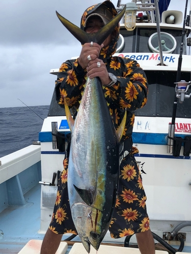 キハダマグロの釣果