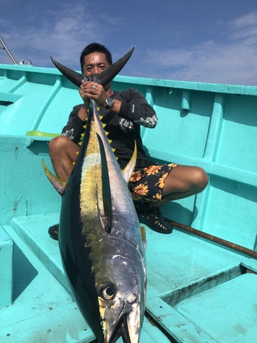 キハダマグロの釣果