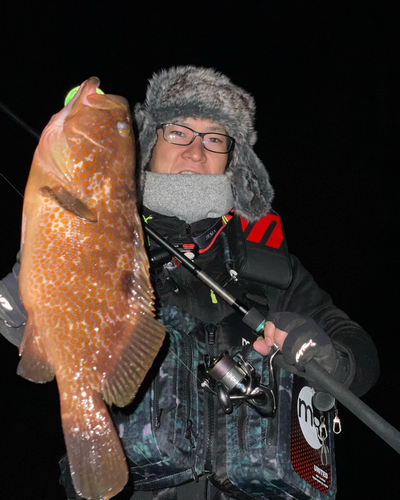 アコウの釣果