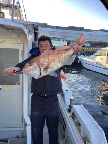 マダイの釣果