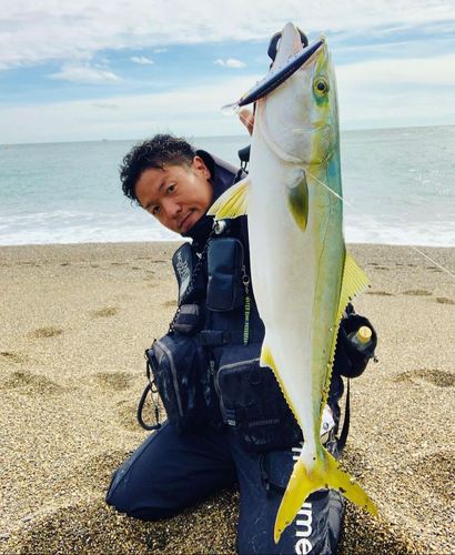 ワラサの釣果