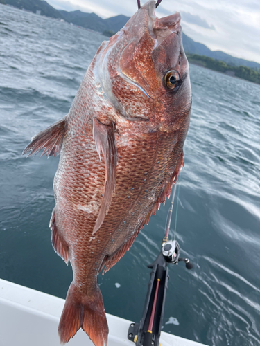 タイの釣果