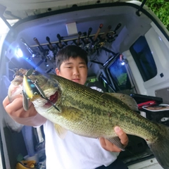 ブラックバスの釣果