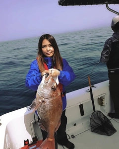 タイの釣果