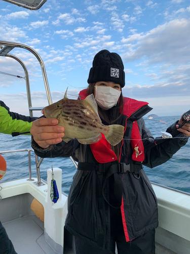 カワハギの釣果