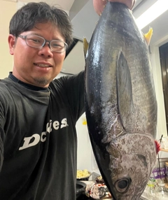 キハダマグロの釣果