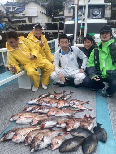 マダイの釣果