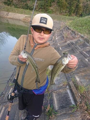 ブラックバスの釣果