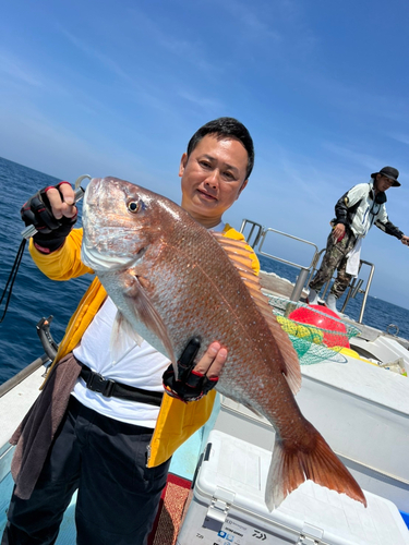 マダイの釣果