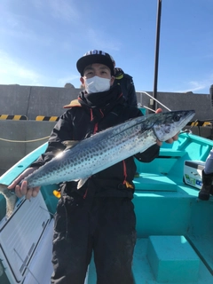 サワラの釣果