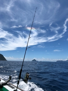 カツオの釣果