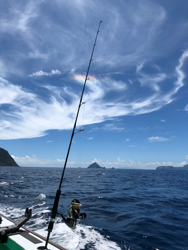 カツオの釣果