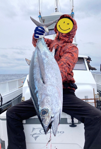 ビンチョウマグロの釣果