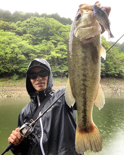 ブラックバスの釣果