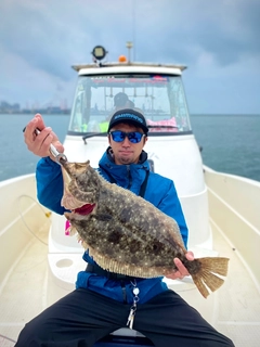 ヒラメの釣果