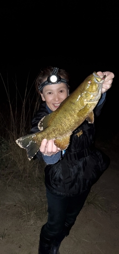 スモールマウスバスの釣果