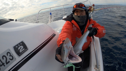 エドアブラザメの釣果