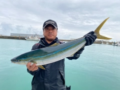 ツムブリの釣果