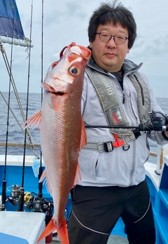 ハチビキの釣果