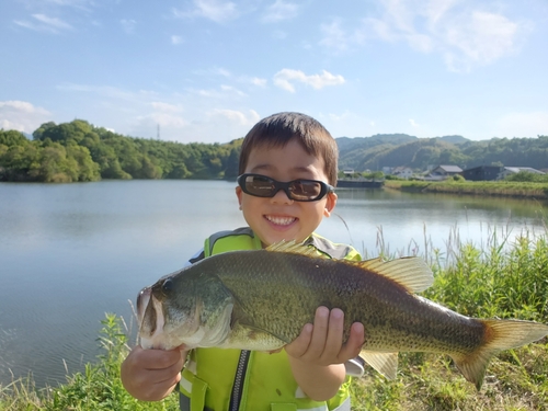 ラージマウスバスの釣果