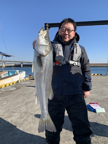 スズキの釣果