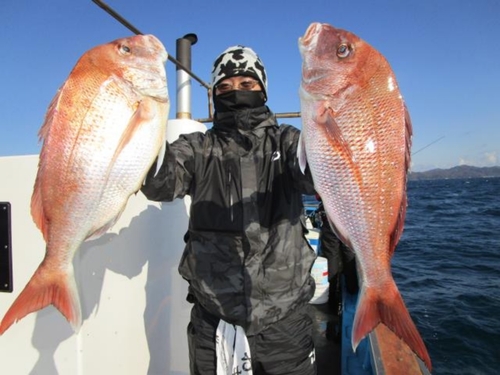 マダイの釣果