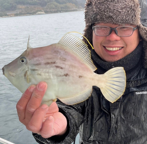 カワハギの釣果