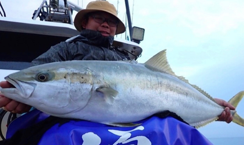 ヒラマサの釣果