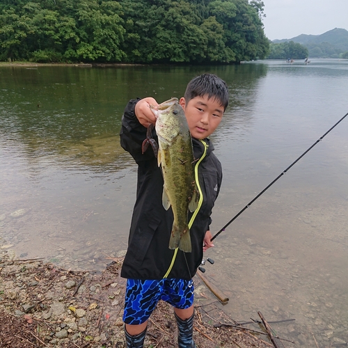 ブラックバスの釣果