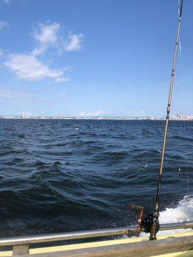 ショウサイフグの釣果