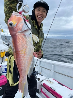 アマダイの釣果