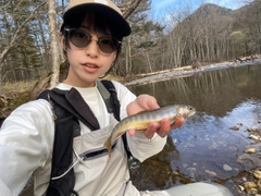 イワナの釣果