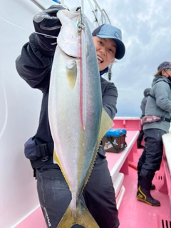 イナダの釣果