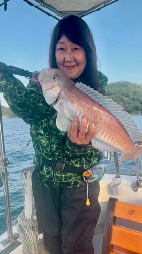 シロアマダイの釣果