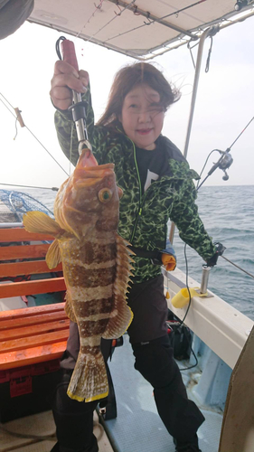 アオハタの釣果