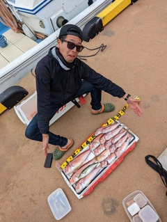 アマダイの釣果