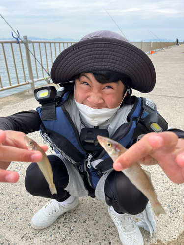 キスの釣果