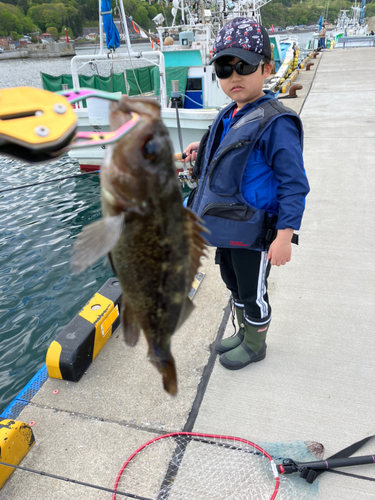 エゾメバルの釣果