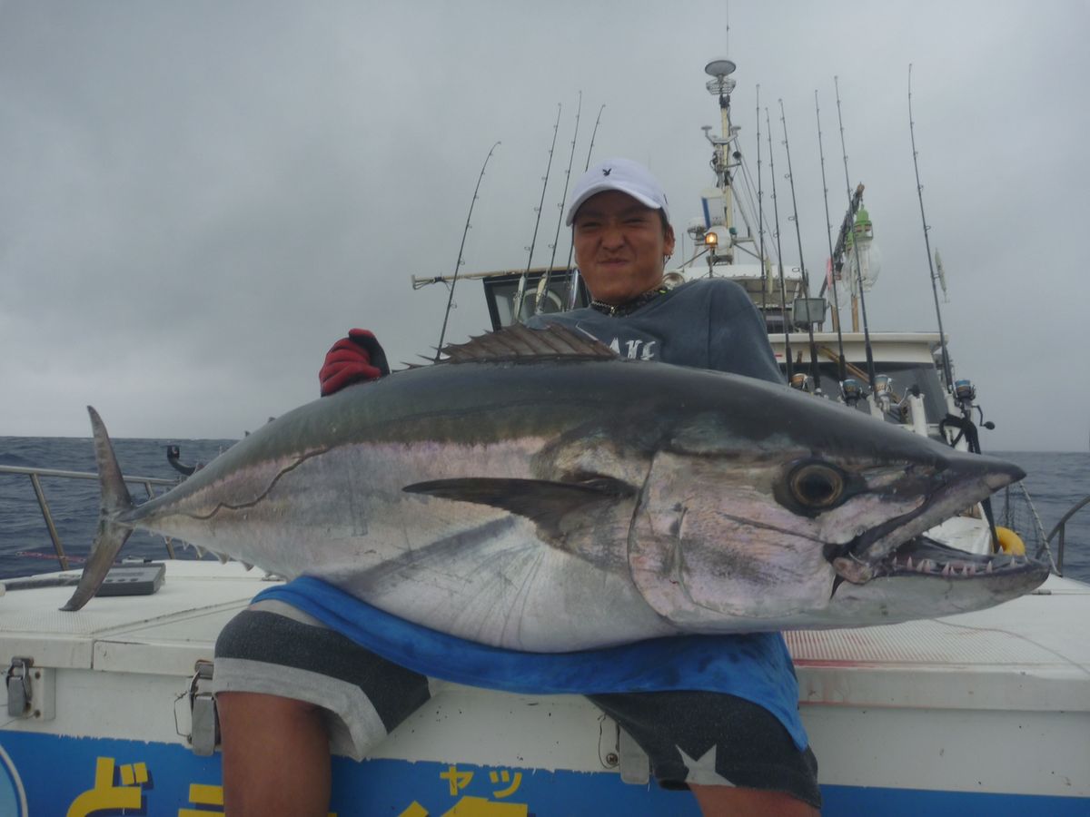 ともたろさんの釣果 1枚目の画像