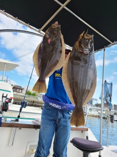 ヒラメの釣果