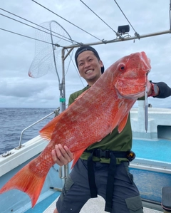 イトフエフキの釣果