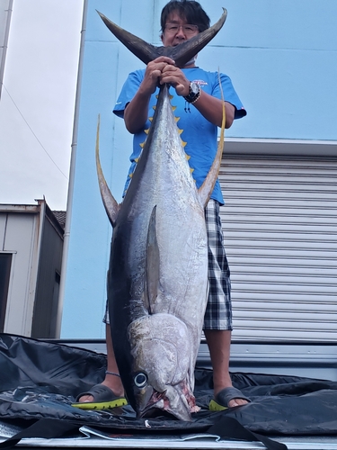 キハダマグロの釣果