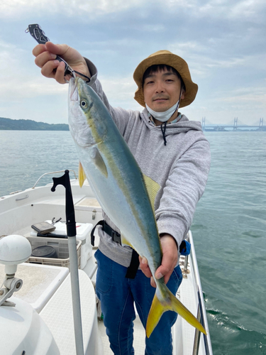 ハマチの釣果