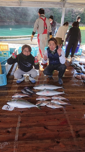 ブリの釣果