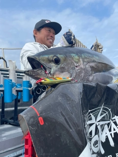 キハダマグロの釣果