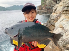 グレの釣果