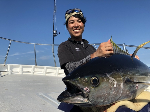 キハダマグロの釣果