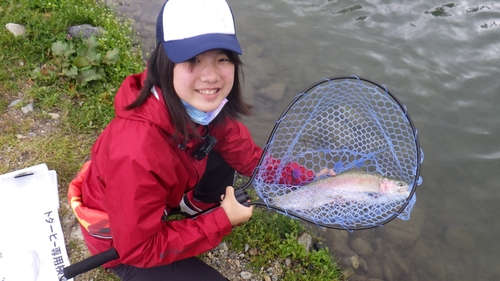 ニジマスの釣果